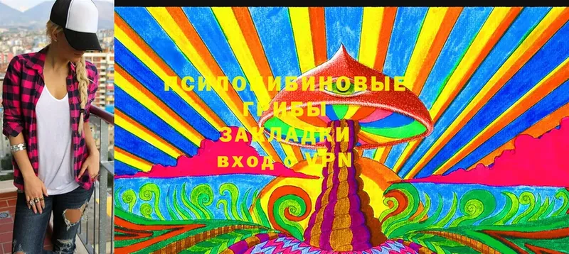 наркошоп  Зея  Псилоцибиновые грибы Cubensis 